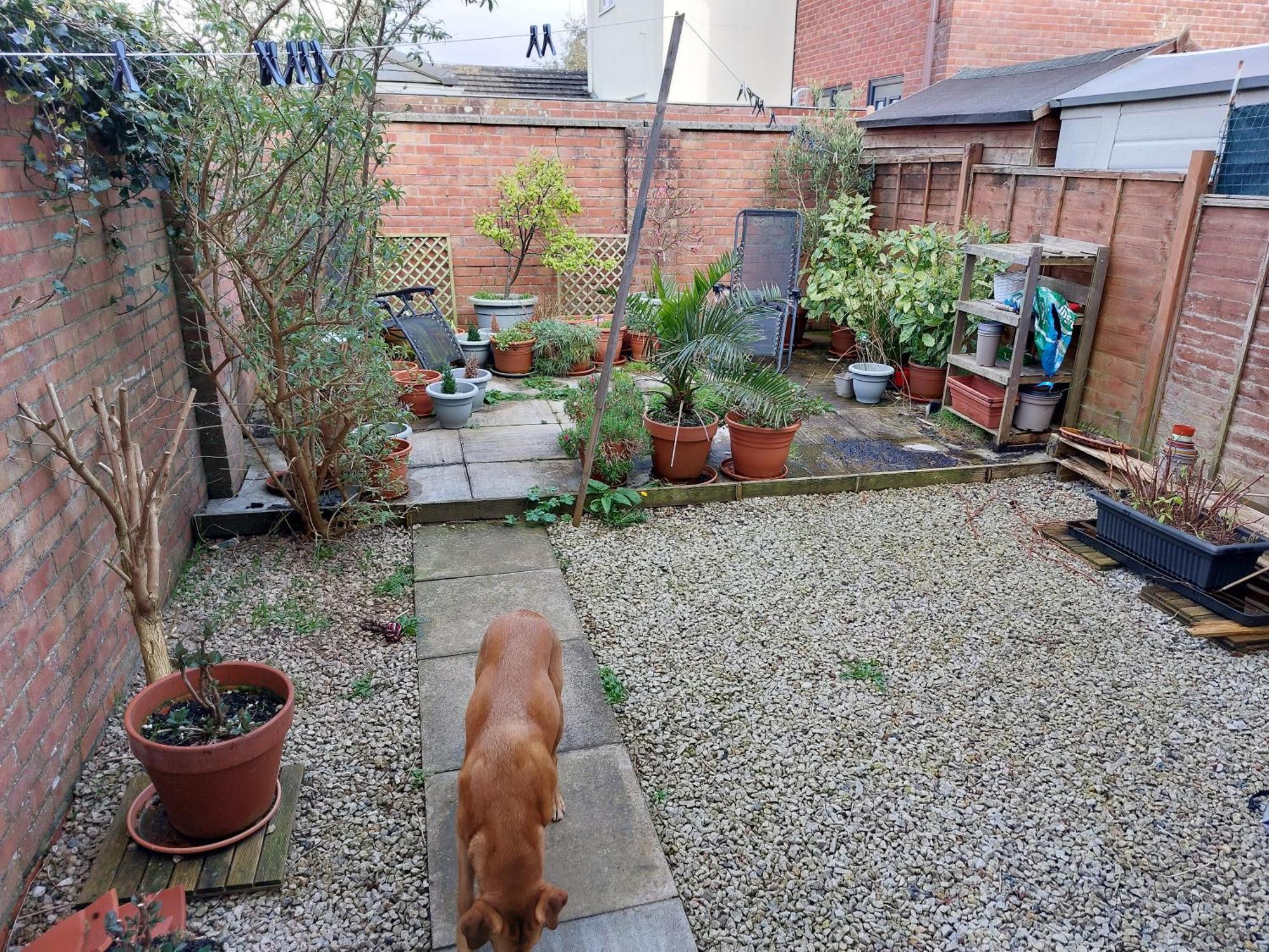 Bude Homestay Stratton  Esterno foto